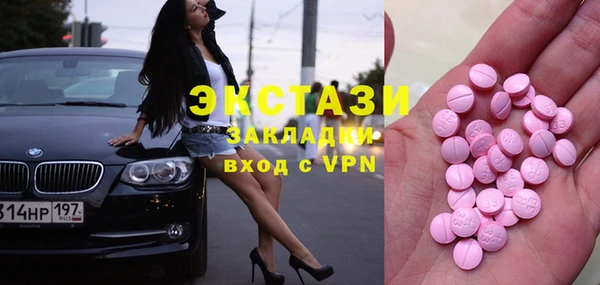 индика Володарск