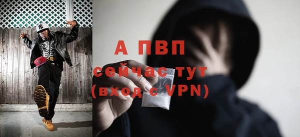 ГАЛЛЮЦИНОГЕННЫЕ ГРИБЫ Волосово
