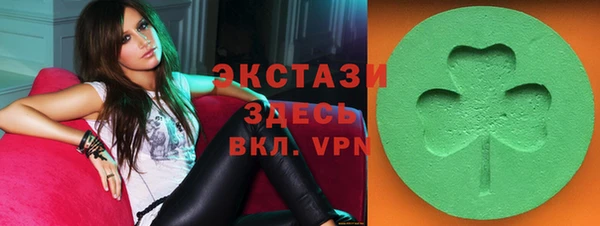 индика Володарск