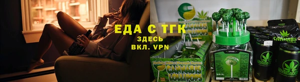 индика Володарск