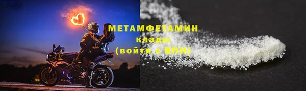 индика Володарск