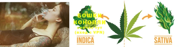 индика Володарск