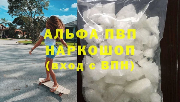 индика Володарск