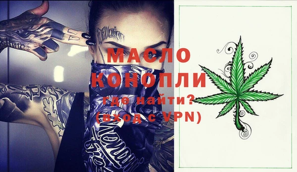 индика Володарск