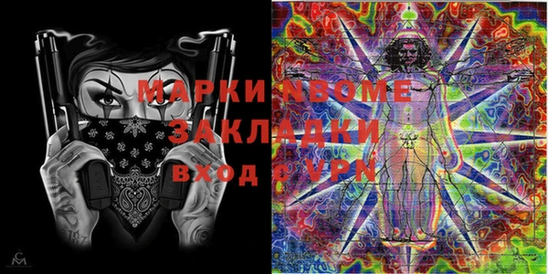 индика Володарск
