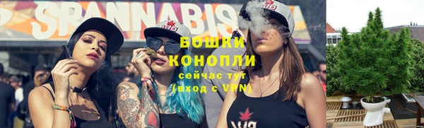 индика Володарск