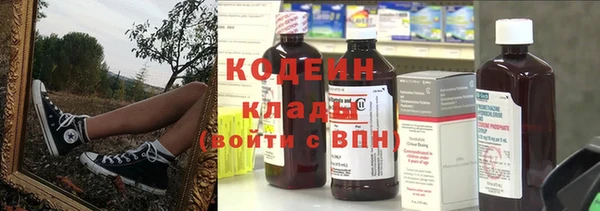 индика Володарск